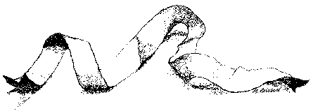 illustration by Mary Rowson