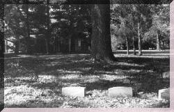 photograph by Lucy Savarese