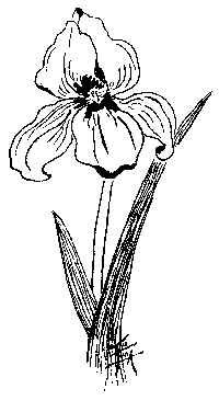 drawing by Emma Prince, copyright 1999