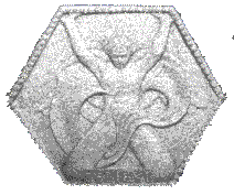 Believe, by Molly Carpenter