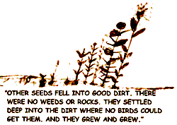 Parable of the Sower, by Susie Concilio