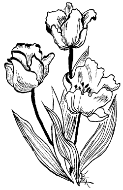 illustration by Emma Prince