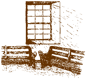 illustration by Judy Scott