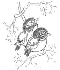 illustration by Emma Prince