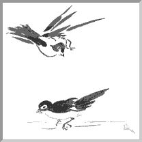 illustration by Emma Prince