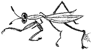 artwork by Emma Prince