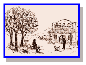 illustration by Judy Scott