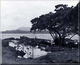 photo by Mario Cavallini