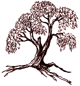 illustration by Judy Scott