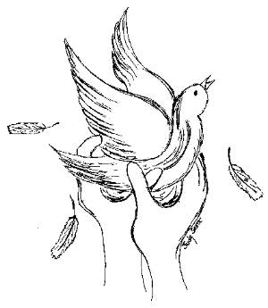 illustration by Judy Scott