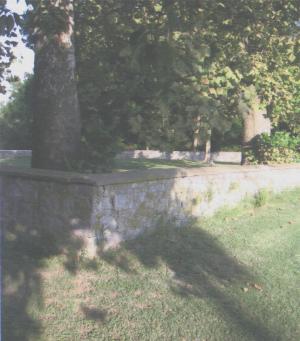 photo by Grace Thompson