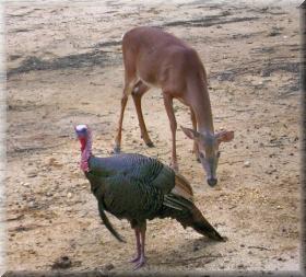 photo by Sondra Ball