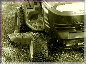 photo by Ken Thompson